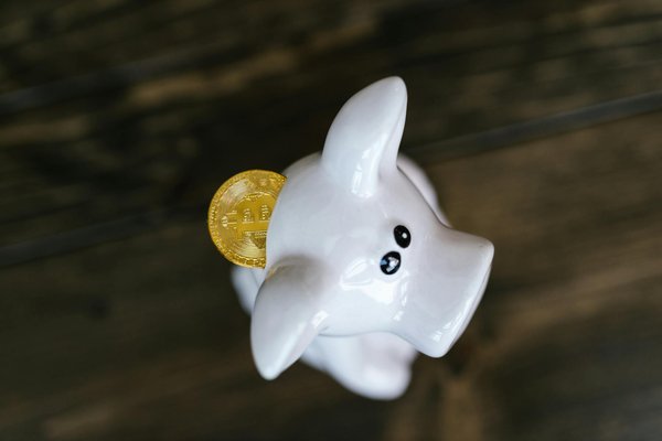 Box de stockage flexible et sécurisé à la rochelle : nos offres