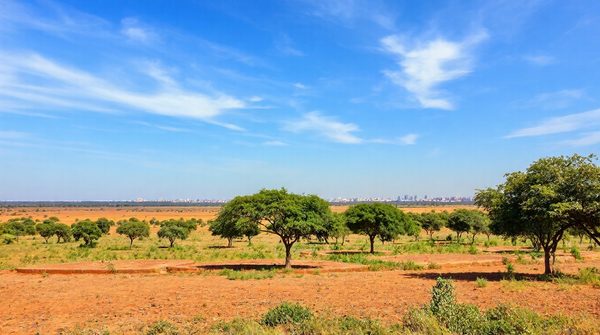 Les meilleures offres de terrains à dakar pour votre projet